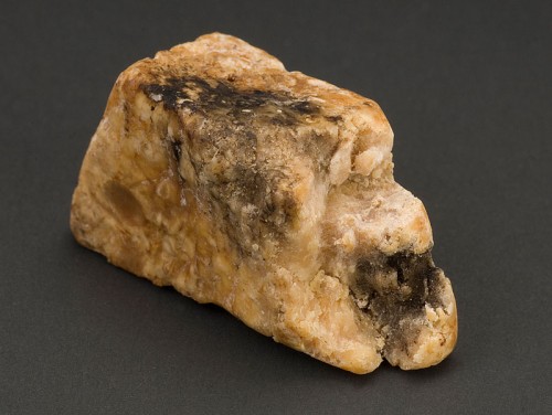 Ambra grisea (Ambergis-A Morbid Secretion of the Whale)