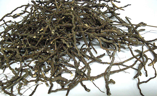 Ipecacuanha (Ipecac-root (IPECA))