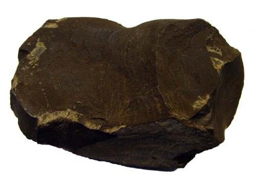 Petroleum (Crude Rock-oil)