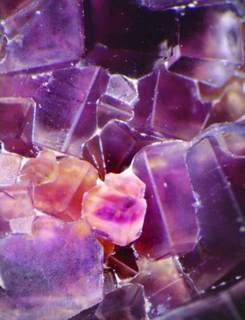 Calcarea fluorica (Fluoride of Lime (FLUOR SPAR))