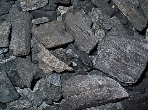 Carbo animalis (Animal Charcoal)
