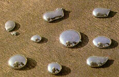 Mercurious corrosivus (Corrosive Sublimate)