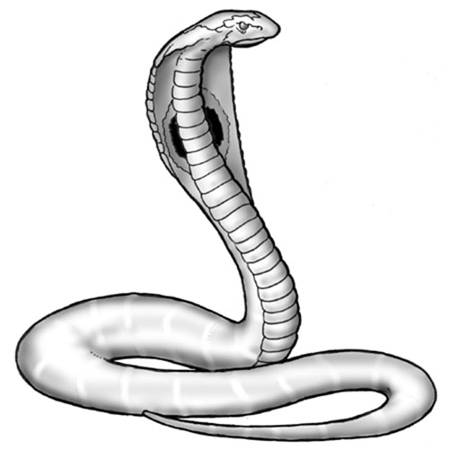 Naja (Virus of the Cobra)